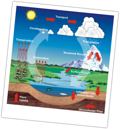http://www.srh.noaa.gov/images/crp/education/water_cycle/hydrologic_cycle2.jpg